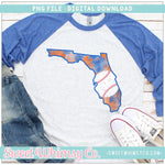 Florida Blue & Orange Baseball State PNG