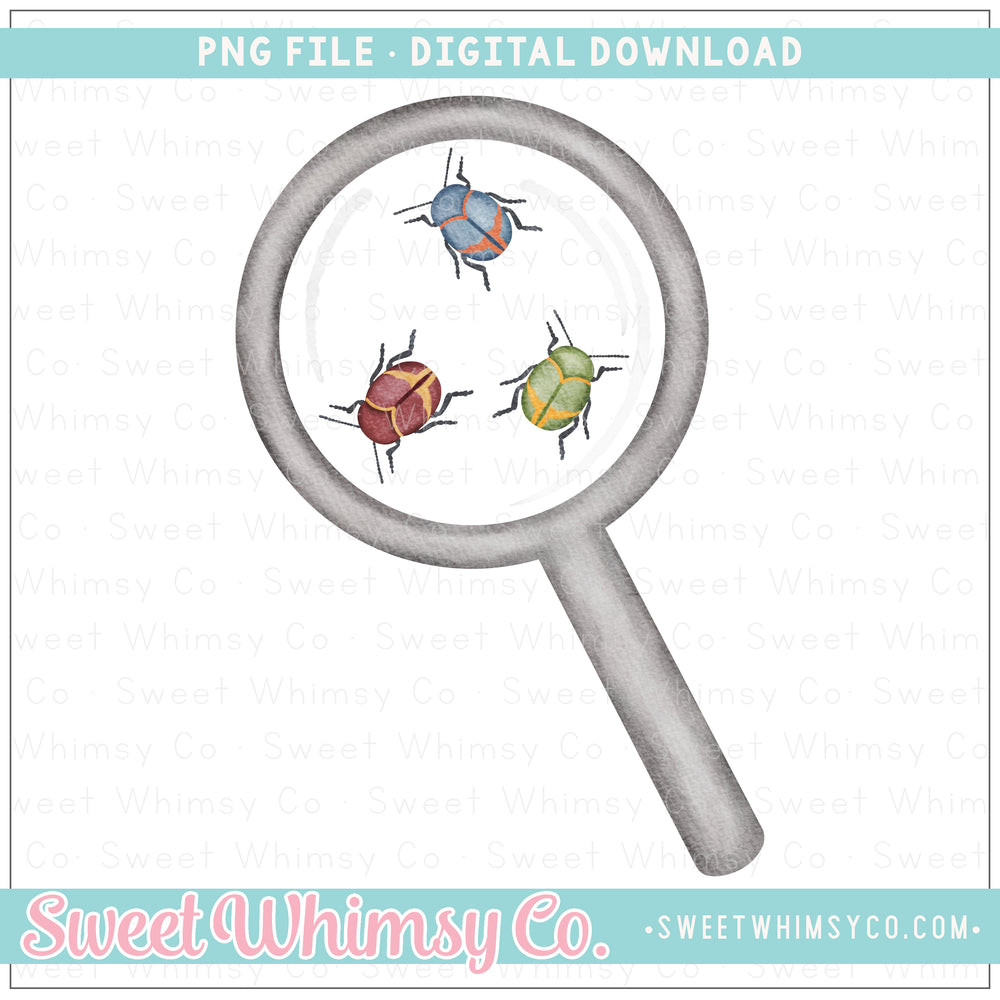 Looking At Bugs PNG