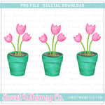 Pink Tulip Pots Trio PNG