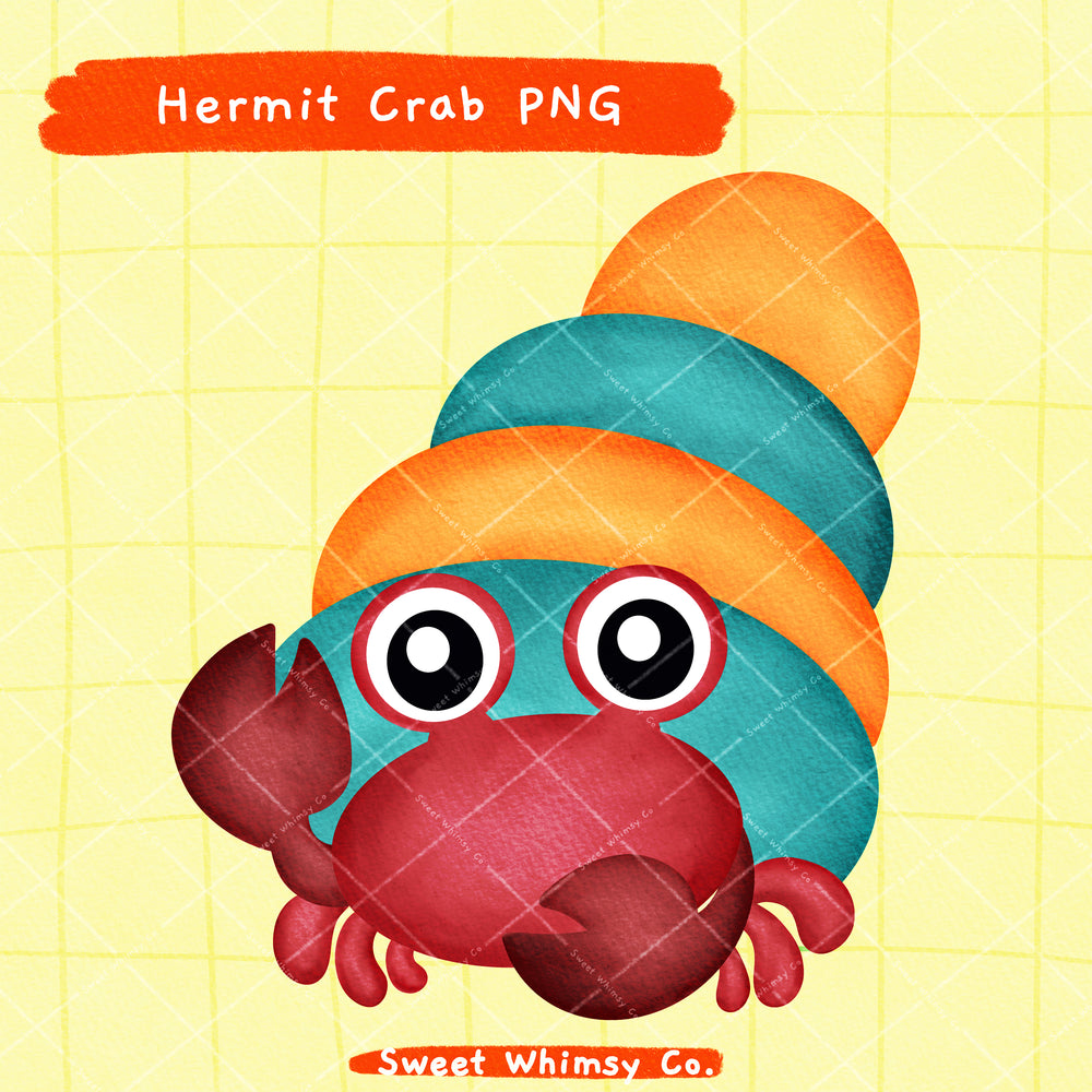 Hermit Crab PNG