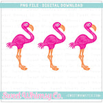 Flamingo Trio PNG