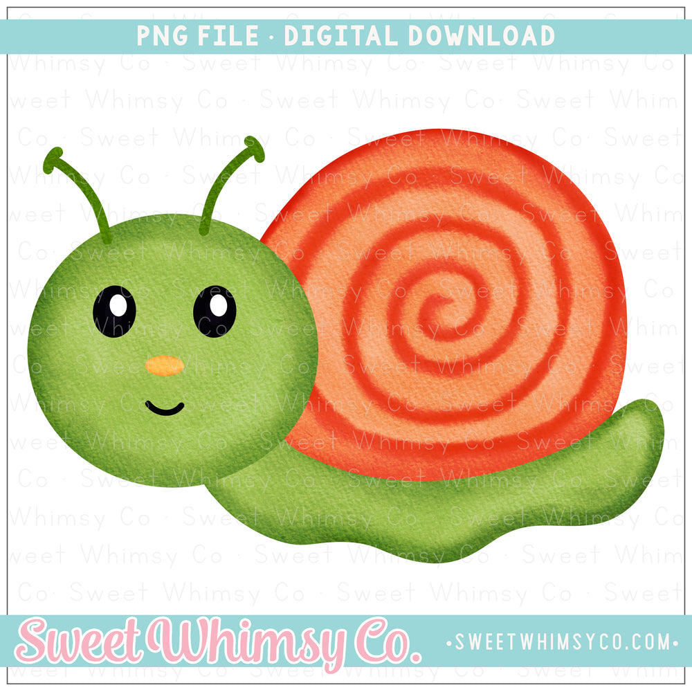 Snail Cutie PNG